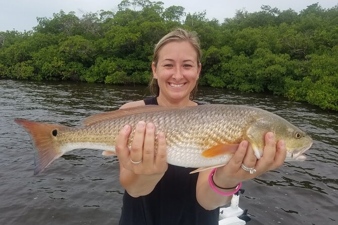 1/2 Day Morning Charter Fishing Naples Marco Everglades Sanibel - The Species You Can Hope For
