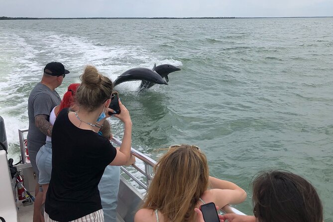 10,000 Islands Boat Excursion - 3.5-Hour Dolphins & Shelling Tour - Key things that make this tour worth your time