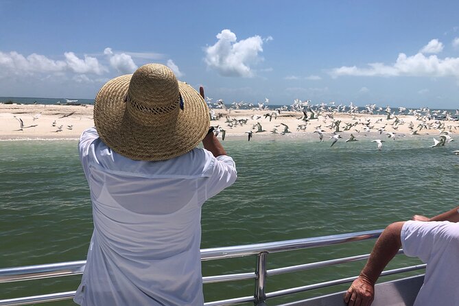 10,000 Islands Boat Excursion - 3.5-Hour Dolphins & Shelling Tour - Cape Romano Dome Homes stop: photos, stories, and a real sense of place