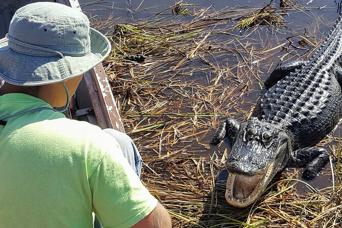 10,000 Islands Boat Tour + Naturalist Led Walk in the Everglades! - Key Highlights I’d Plan Around