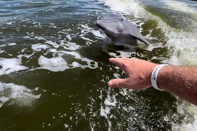 10,000 Islands Boat Tour + Naturalist Led Walk in the Everglades! - The Day Structure: Naples Pickup, Western Everglades Drive, Then Two Water Windows
