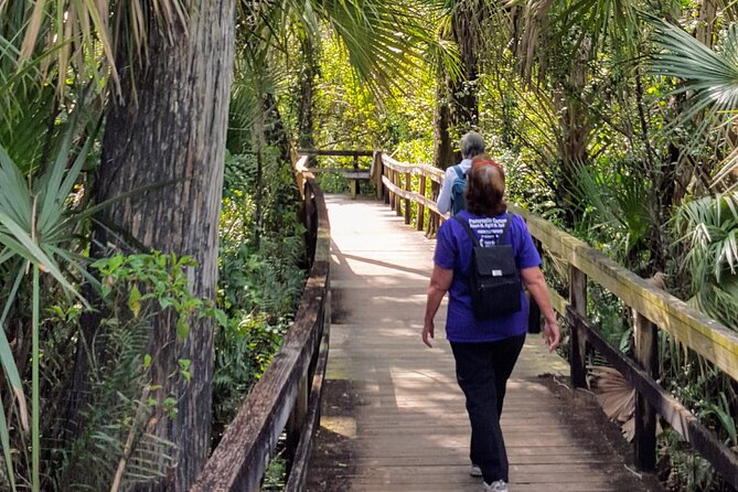 10,000 Islands Boat Tour + Naturalist Led Walk in the Everglades! - Kirby Storter Roadside Park Walk: The Gator-Hole Moment in a Cypress Dome Forest