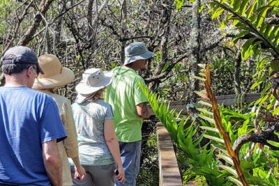 10,000 Islands Boat Tour + Naturalist Led Walk in the Everglades! - Oasis Visitor Center: Fast Orientation and Wildlife You Can See Immediately