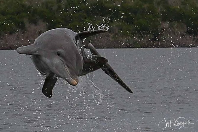 10,000 Islands Excursion Small-Group 3.5 hour Dolphin & Shelling Boat Tour - Guides Matter: The Human Touch Behind the Best Moments