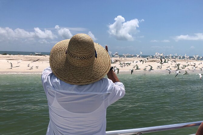 10,000 Islands Excursion Small-Group 3.5 hour Dolphin & Shelling Boat Tour - The Shelling Part: It’s More Than Picking Up Pretty Things