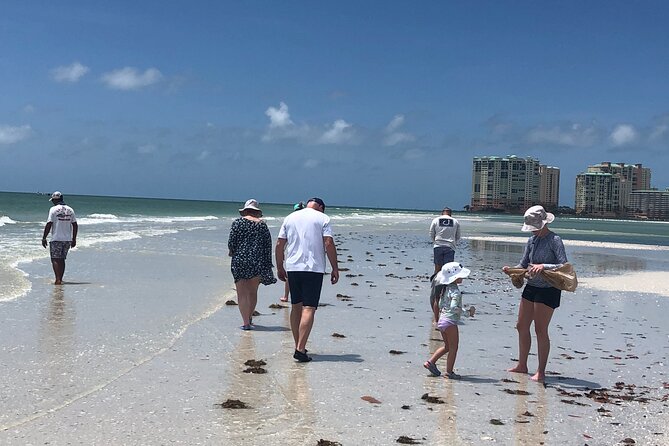 10,000 Islands Excursion Small-Group 3.5 hour Dolphin & Shelling Boat Tour - Wildlife Spots You Can Reasonably Expect (And Why Timing Matters)