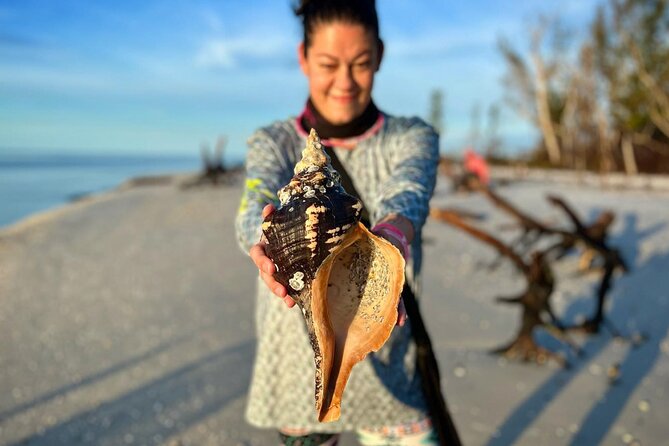 10K Islands Private Shelling Tour - Key Highlights You’ll Actually Feel on the Day