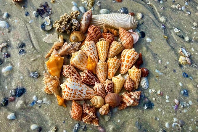 10K Islands Private Shelling Tour - The Guide Factor: Friendly, Clear, and Practical (Jason)