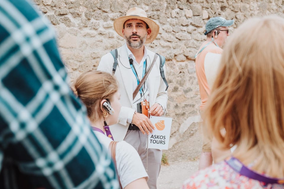 2-Hour Pompeii Child-Friendly Tour - House of the Faun and House of the Vettii: big-name houses, explained simply