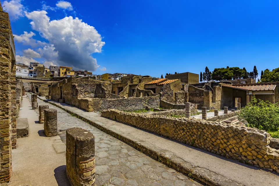 2-Hour Private Tour of the Ruins of Herculaneum - Key highlights worth your time