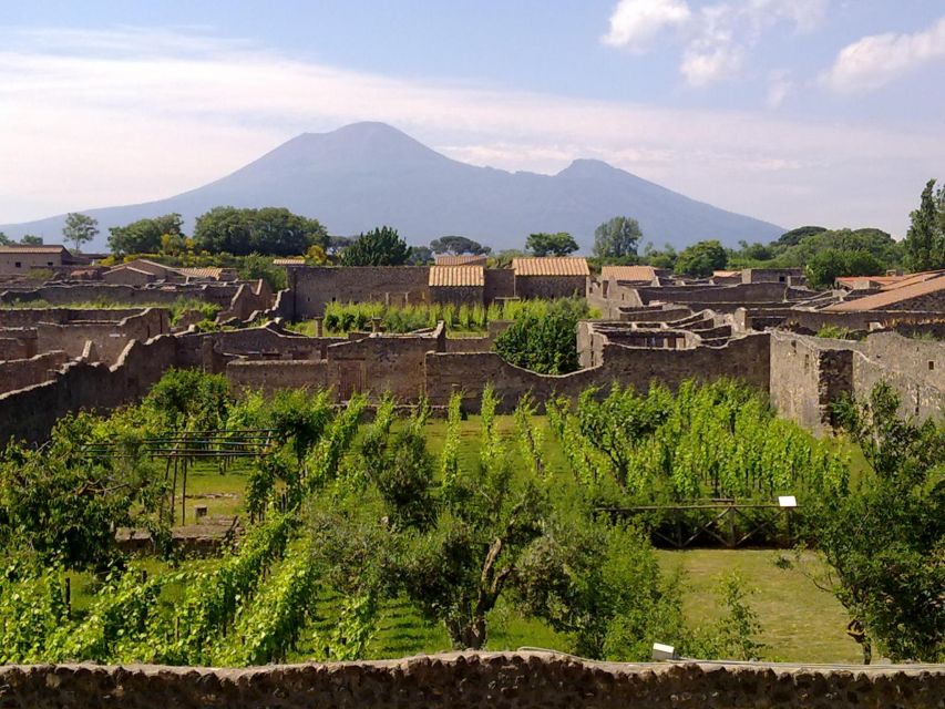 2-Hour Private Walking Tour of Pompeii - Forum Stories: Apollo, Capitolium, the Emperor, and the Basilica