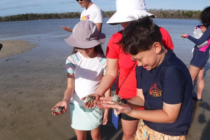 2-hour Shelling Boat Tour in the 10,000 Islands - Shelling in the Ten Thousand Islands Wildlife Refuge (why it feels different)