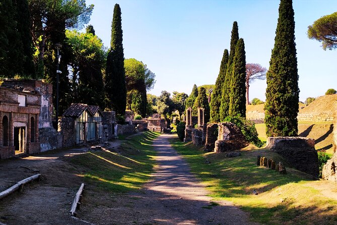 2 Hours Private Tour in Pompeii with Archaeologist - A Private Pompeii Tour With a Licensed Archaeologist