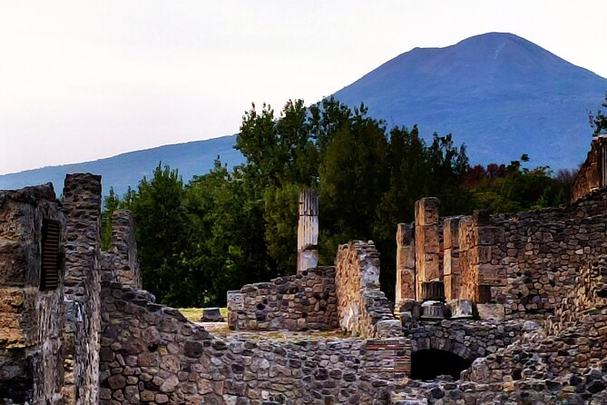 2 Hours Private Tour in Pompeii with Archaeologist - Tickets, Walking, and Practical Comfort