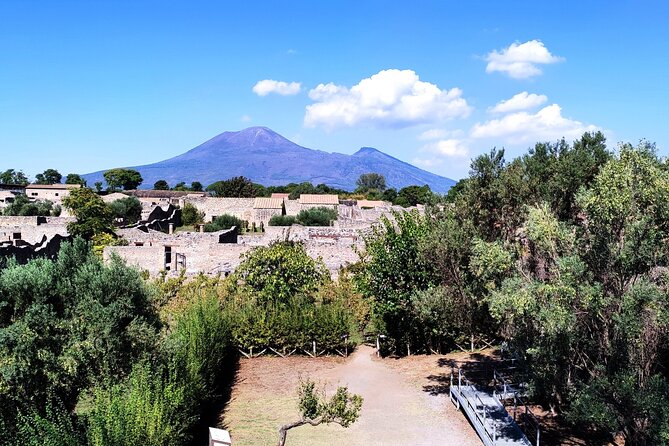 2 Hours Private Tour in Pompeii with Archaeologist - Should You Book This Tour?