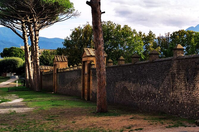 2 Hours Private Tour in Pompeii with Archaeologist - FAQ