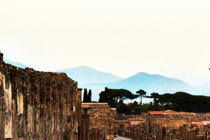 2 Hours Private Tour in Pompeii with Archaeologist - Getting In and Staying On Time for 2 Hours