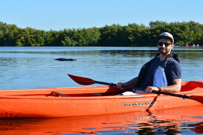 2Hour Everglades Kayak Safari Adventure Through Mangrove Tunnels - Kayaking Everglades mangrove tunnels: what makes it special
