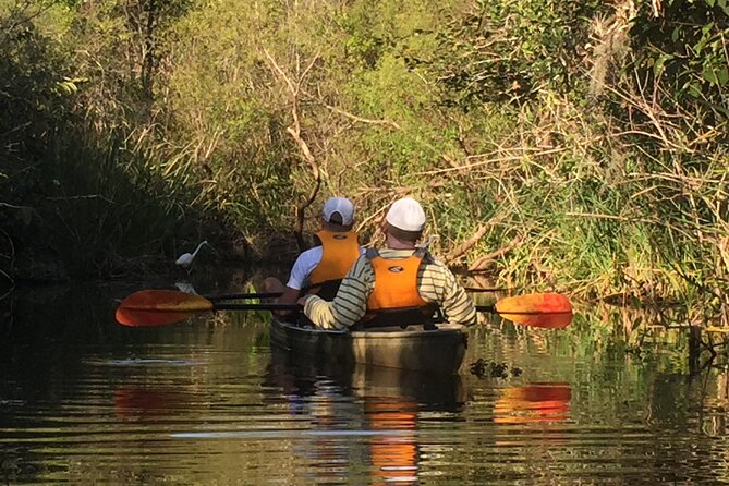 2Hour Everglades Kayak Safari Adventure Through Mangrove Tunnels - Mangrove tunnels: shade, plant life, and the alligator factor