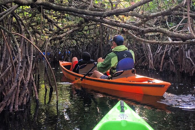 2Hour Everglades Kayak Safari Adventure Through Mangrove Tunnels - Meeting at 32016 Tamiami Trl E and getting set up right