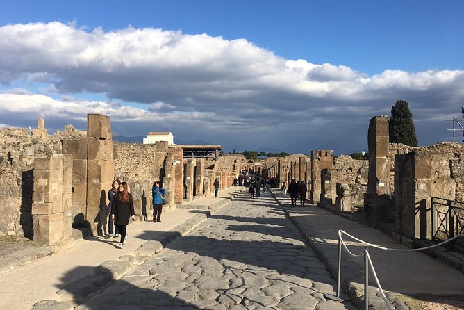 3-Hours Private Walking Tour in Pompeii with an Archaeologist - Ask Questions Like a Local: Archaeology Context on Daily Roman Life