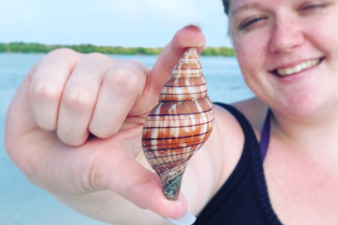 4 Hour Kice Island Shelling Trip - The boat ride: wildlife spotting plus real local context
