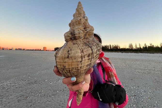 4 Hour Kice Island Shelling Trip - How to pack so your shell bag doesn’t turn into a gym workout