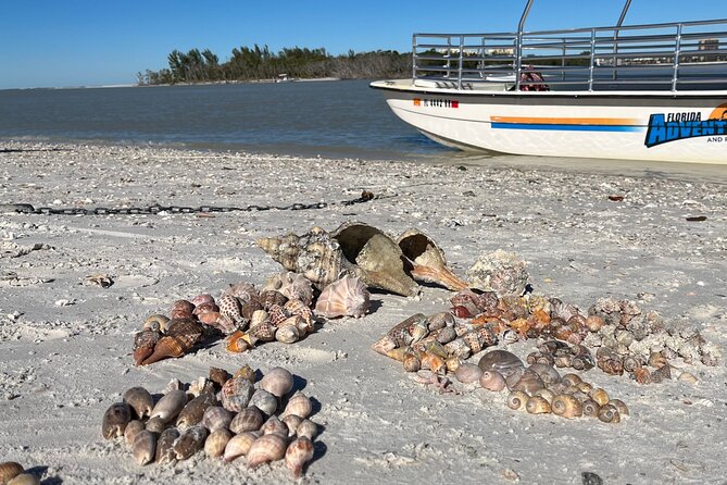 4 Hour Kice Island Shelling Trip - Stop 1: Dickman’s Island and the sandbars (about 1.5 hours)