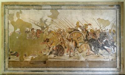 Archaeological Museum of Naples Private Tour - Pompeii and Herculaneum Finds: What the Guide Brings Into Focus