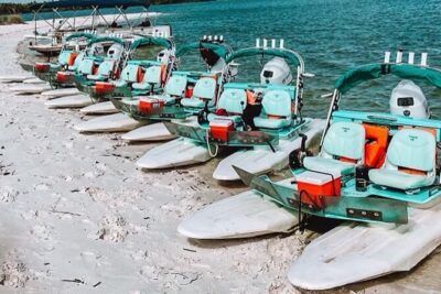 Backwater Adventure's CraigCat Tours of the 10,000 Islands - The Wildlife You’re Actually Chasing (and what you can’t control)