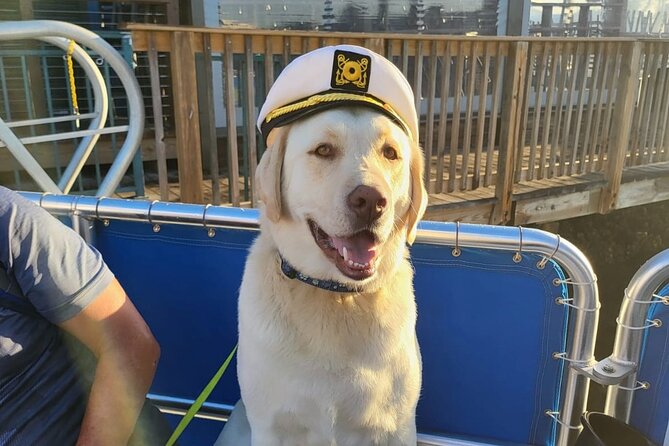 Bark on the Ark - Naples Bay to Keewaydin Island: the boat part you’ll actually remember