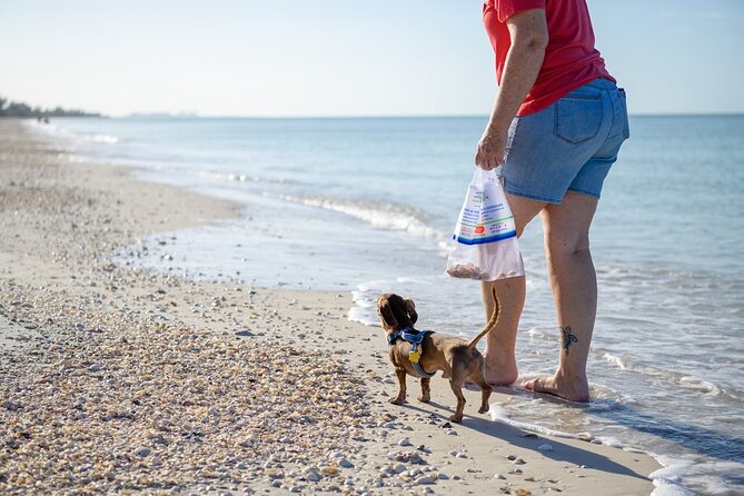 Bark on the Ark - Keewaydin Island time: running room, shell math, and real fetch