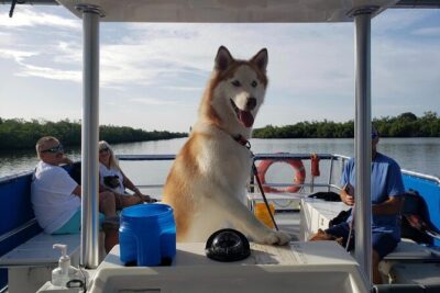 Bark on the Ark - What’s included: water, restroom, and a dog goodie bag that saves you