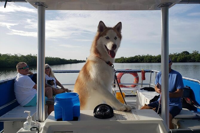 Bark on the Ark - What’s included: water, restroom, and a dog goodie bag that saves you