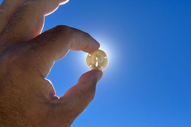 Barrier Island Shelling Tour - Price and value: is $129 a fair deal?