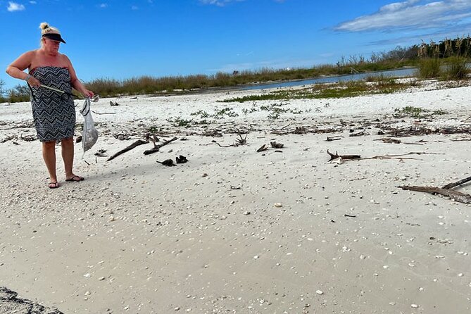 Barrier Island Shelling Tour - Who should book this shelling tour (and who might not love it)