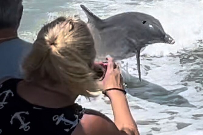 Best of Marco Island Dolphin Tour - Dolphins, Goodland, and the 10,000 Islands in About Two Hours