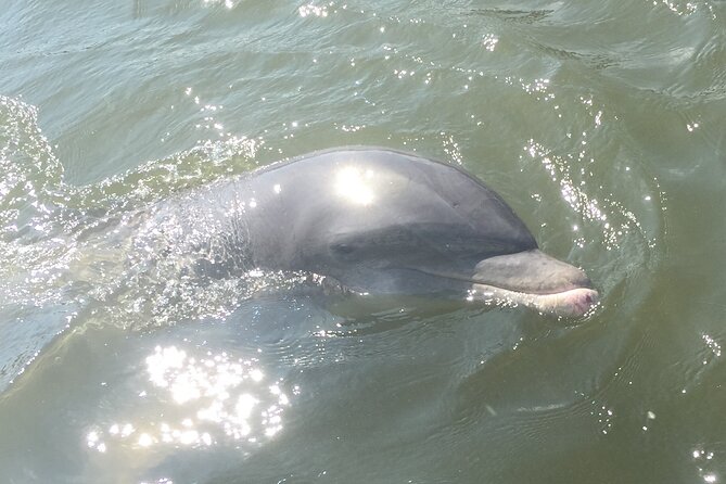 Best of Marco Island Dolphin Tour - Stop 1: Goodland’s historic fishing village for a quick look