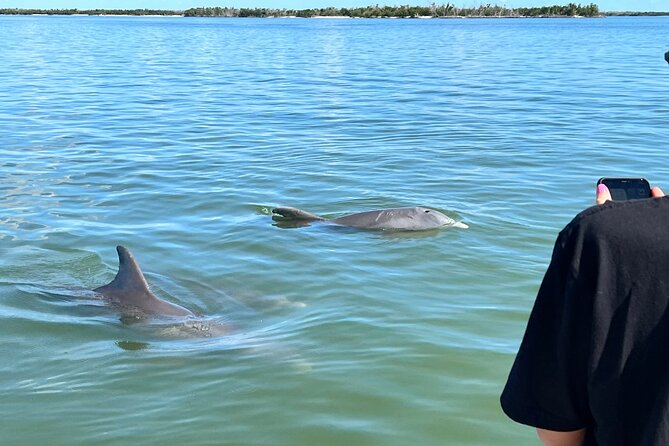 Best of Marco Island Dolphin Tour - Stop 2: Ten Thousand Islands National Wildlife Refuge and dolphin-watching time