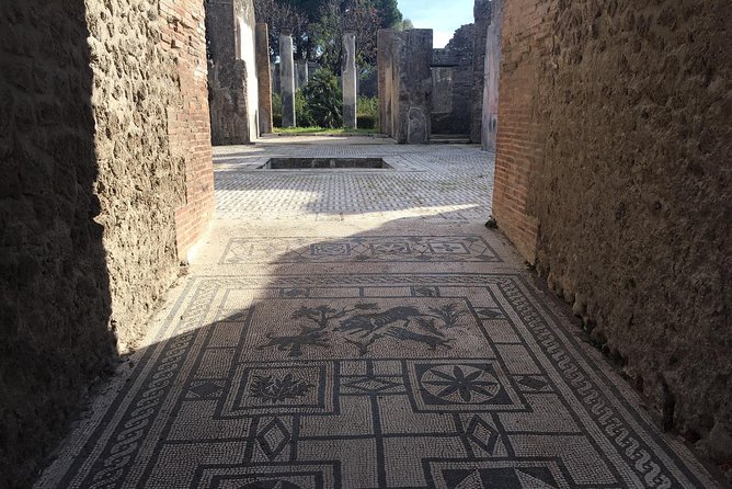 Best of Pompeii & Herculaneum: Private Tour with an Archaeologist - Pompeii Archaeological Park: Public Buildings Plus the Lupanare