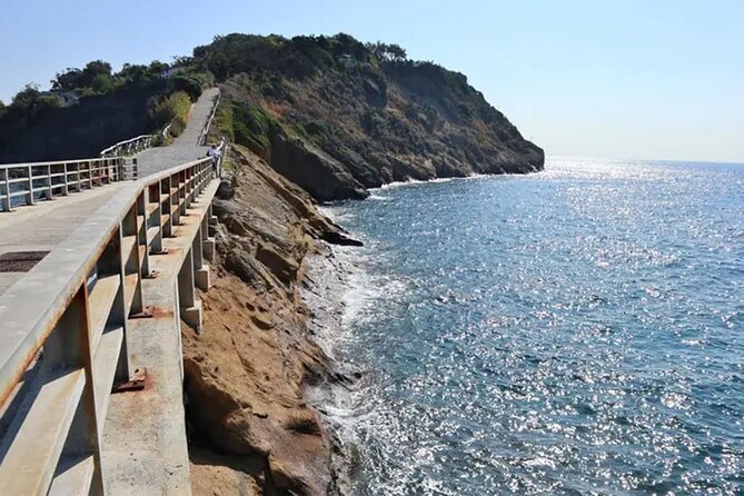Boat Tour to Procida and Ischia, discover Private Secret Beaches - Vivara Natural Reserve: Snorkeling Over Protected Wildlife