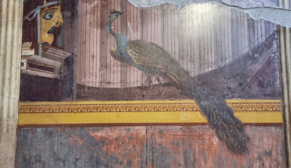 Campania: Pompei+Herculaneum+Vesuvius audio guide - Support, App Quirks, and What to Do if It Goes Off Track