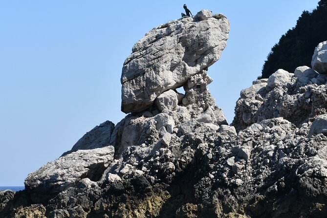 Capri, Anacapri and Blue Grotto Day Tour from Naples Small Group - The shared boat ride backup: often better than you expect