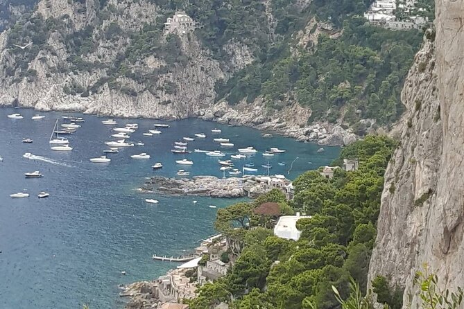 Capri, Anacapri and Blue Grotto Day Tour from Naples Small Group - Your guide: the difference between chaos and a great day