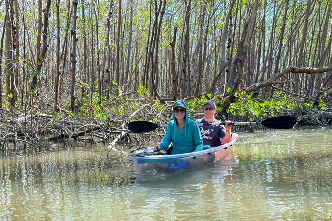 CLEAR Kayak Sunset & Light Tour - Bonita Springs / Ft Myers Beach - Key highlights you’ll actually care about