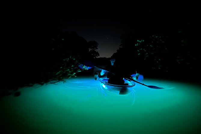 CLEAR Kayak Sunset & Light Tour - Bonita Springs / Ft Myers Beach - The LED light return: turning evening paddle time into a glowing event