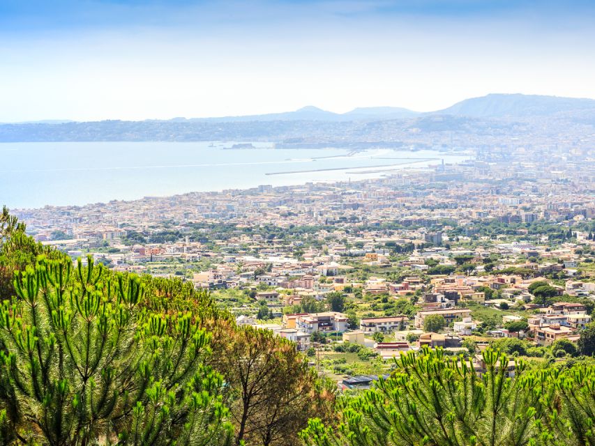 Combo Tour_Pompeii&Vesuvius from Castellammare di Stabia - Who should book this Vesuvius and Pompeii combo?