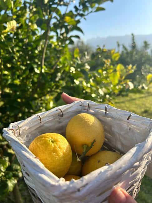 Cooking Class w/Italian Mamma from Pompei! - Key things to know before you go