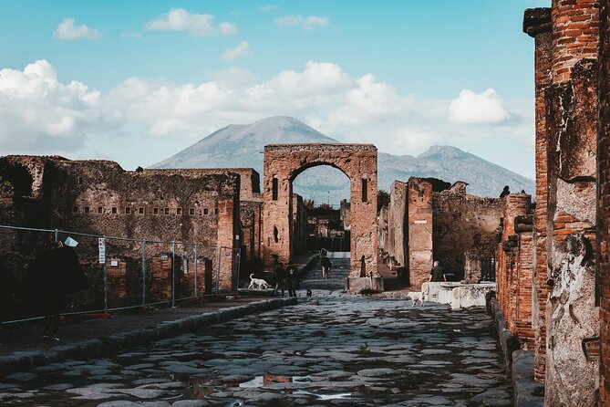 Customizable Private Tour of Herculaneum & Pompeii - Price and value: what $296ish buys (and what might cost extra)