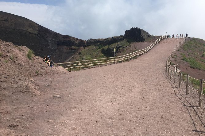Daily Excursion Full Day 8 Hours ( Vesuvio Pompei) - The value equation: $232.71 for a full-day logistics package